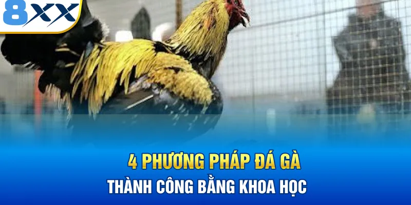 4 phương pháp đá gà thành công bằng khoa học