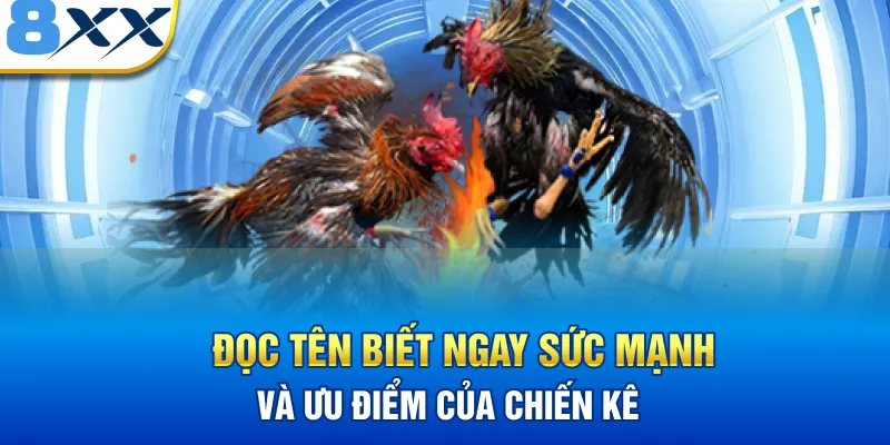 Đọc tên biết ngay sức mạnh và ưu điểm của chiến kê