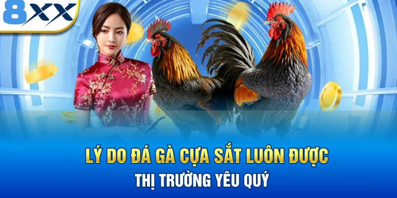 Lý do đá gà cựa sắt 8XX luôn được thị trường yêu quý